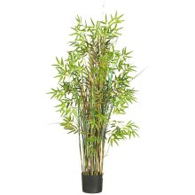 (image for) 5' Bamboo Grass Silk Plant NN6569