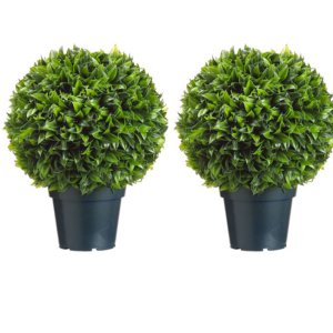 (image for) 4' Triple Ball Sweet Bay Topiary TP-LPB414
