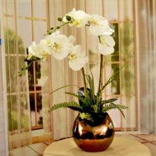 (image for) White Orchids in a Copper Vase O02