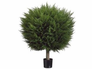 (image for) 4' Triple Ball-Shaped Boxwood Topiary Tree - 4' Boxwood Topiary