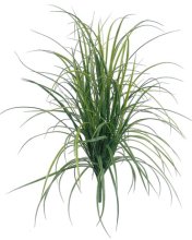 (image for) 33" LONG SLIM GRASS BUSH- S14594GR (6 piece min)