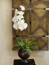White Orchids In Contemporary Vase 0158