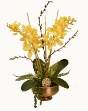 (image for) Yellow Vanda Orchids Floral Design with Succulents O172
