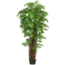 7' Deluxe Ficus Silk Tree # NN5240