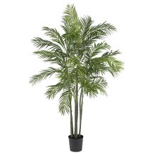 (image for) 5' Areca Silk Palm Tree # NN5275