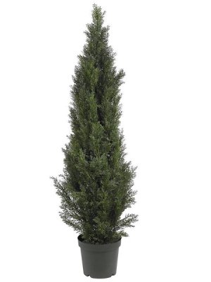 (image for) 5' Mini Cedar Pine Tree (Indoor/Outdoor) # NN5291