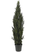 (image for) 6' Mini Cedar Pine Tree (Indoor/Outdoor) # NN5292