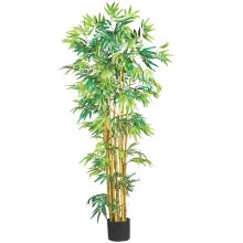 (image for) 5' Multi Bambusa Bamboo Silk Tree # NN5179