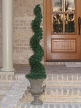 5 FT. Boxwood Spiral Topiary Tree TP5BX-115