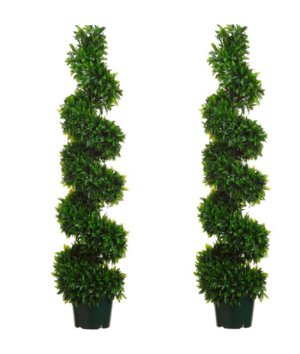 (image for) 5' Italian Bayleaf Spiral Topiary TP-LPB555