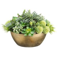 (image for) Mixed Succulent Greenery Arrangement ARWF1388