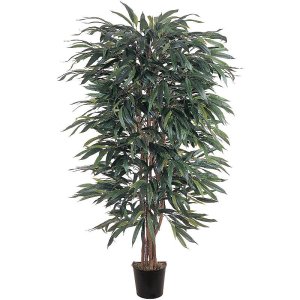 (image for) 5' Weeping Ficus Silk Tree # NN5018