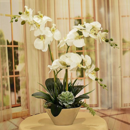 (image for) White Orchids and succulents in Silver Bowl O184 TEXT_CLOSE_WINDOW