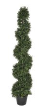 5' Rosemary Topiary TP-LPR485