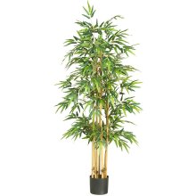 (image for) 64" Bamboo Silk Tree # NN5253