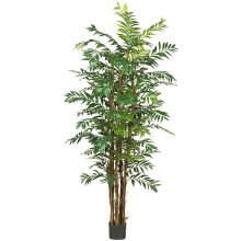 (image for) 7' Bamboo Palm Silk Tree # NN5250