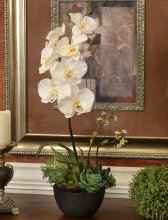 (image for) Orchid and Succulent Silk Floral Design 0159
