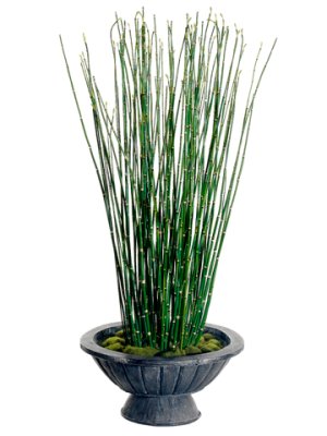 (image for) Horse Tail Grass Silk Plant and Greenery GRWP7532