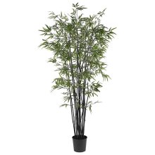 6.5' Black Bamboo Silk Tree # NN5277