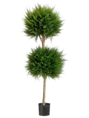 (image for) 4' Candian Cypress Double Ball Topiary TP-LPC204
