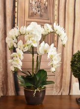 (image for) White Phalaenopsis Orchid Silk Arrangement AR408