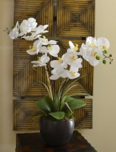 (image for) White Silk Orchid Design in Black Bowl O146