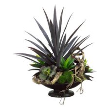 (image for) Tall Succulent Arrangement in Resin Bowl GRWF1137