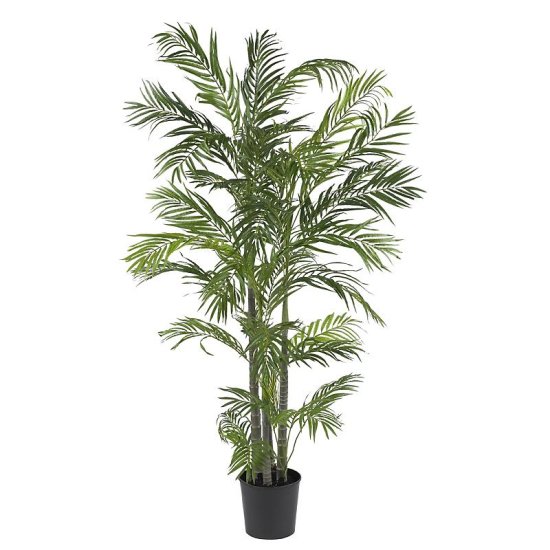(image for) 5' Areca Silk Palm Tree # NN5274 TEXT_CLOSE_WINDOW