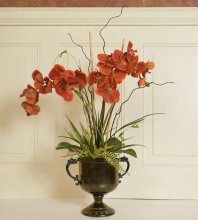 (image for) Rusty Red Phalenopsis Orchid Silk Floral Design O160