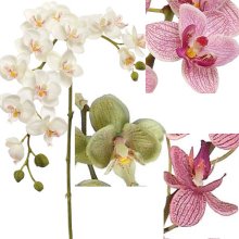 22" DANCING ORCHID- S18818 (12 piece min)