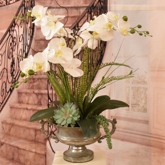 (image for) White Orchids with Succulents in Silver Pedestal Vase AR515 TEXT_CLOSE_WINDOW