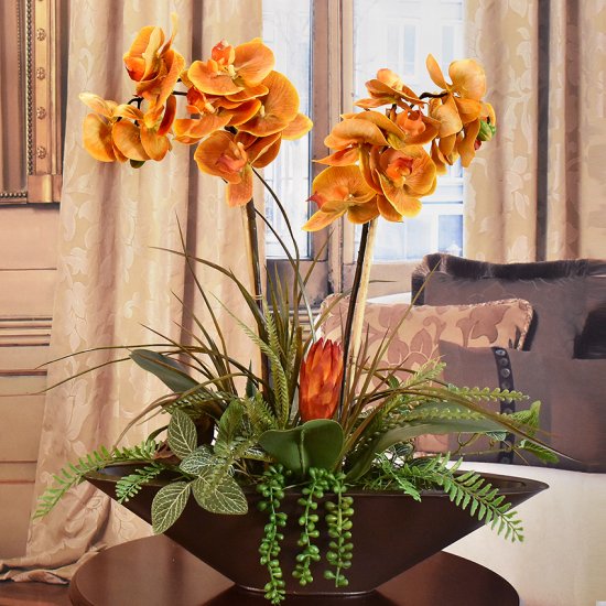 (image for) orange orchid with brown vase AR488 TEXT_CLOSE_WINDOW