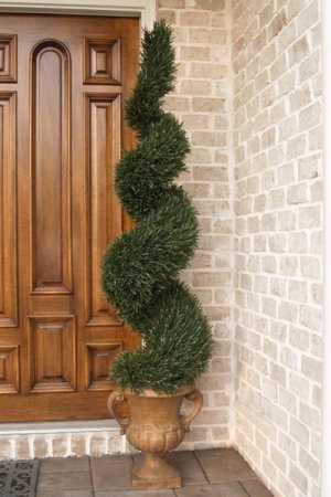 (image for) 5 Ft. Rosemary Spiral Topiary TreeTP4RS-150