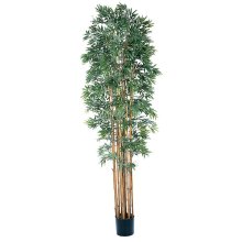 (image for) 6' Bamboo Japonica Silk Tree # NN5045