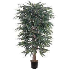 (image for) 5' Weeping Ficus Silk Tree # NN5018