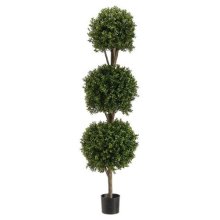 (image for) 5' Triple Ball-Shaped Boxwood Topiary Tree # TP 275