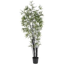 (image for) 6' Black Bamboo Silk Tree with 2 Trunks # NN5164