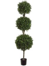 (image for) 6' Triple Ball-Shaped Boxwood Topiary Tree # TP276