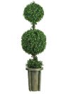 (image for) 5' Double Ball Leucodendron Topiary w/Decorative Vase # NN5221