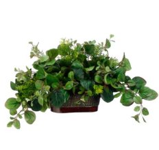 Faux Peperomia and Tea Leaf Silk Greenery Plant GRWP7870