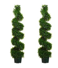 5' Italian Bayleaf Spiral Topiary TP-LPB555