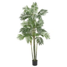(image for) 6' Areca Palm Silk Tree # NN5337