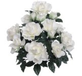 (image for) WEDDING FLOWERS