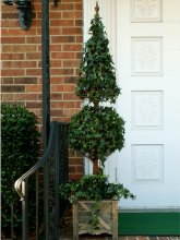 (image for) Ivy Topiary Tree TPIV-150