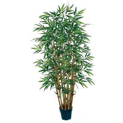 (image for) 5' Bamboo Silk Tree # NN5039