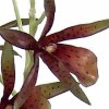 (image for) MINI CATTLEYA SILK ORCHID -SILK FLORAL STEM - LS16368GR