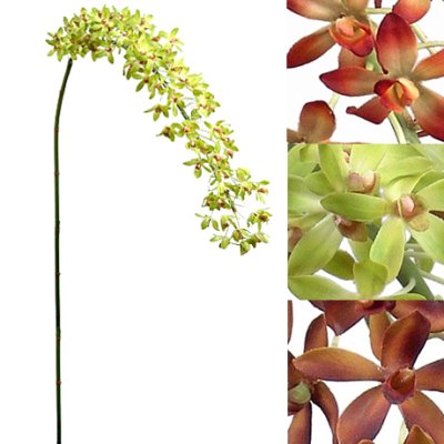 (image for) MINI CATTLEYA SILK ORCHID -SILK FLORAL STEM - LS16368GR