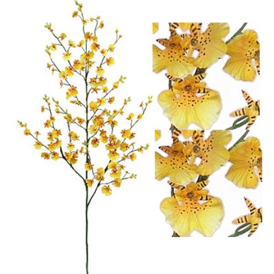 (image for) DANCING ORCHID- S2645 (12 piece min)
