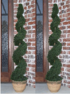 (image for) Set of 2- 4 Ft. Cedar Spiral Topiary Tree TP2-4CY-180