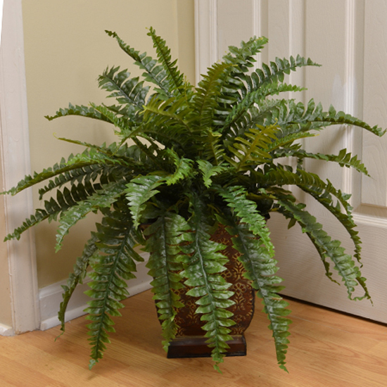 Silk Boston Fern - Artificial Boston Fern - Silk Reptile Plant